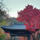 2026년 11월 4일 동두천 소요산 이미지