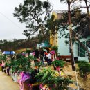 승일목장 이미지