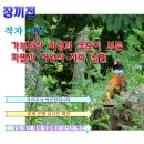 삼경운수 | 장끼전 해석, 고전 소설 해설 분석 정리
