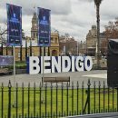 (주)워커스플레이스 | 호주 벤디고 워홀 D+12 ~15