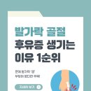 해빛1로 이미지