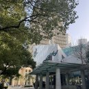 해양수족관 - 9373 | 상하이 해양수족관 아쿠아리움 후기｜동방명주 근처 아이와 가볼 만한 실내 여행지
