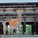 여행자를 위한 여행영어 이미지