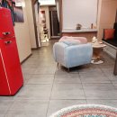 유연바디랩 | 10년 경력 마사지사한테 받은 평촌마사지 바디랩마사지 후기!