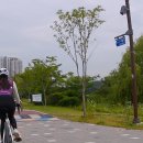 대부바다향기 테마파크 이미지