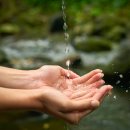 Pacific BUBBLES 이미지