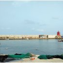 주전 활어회직판장 이미지