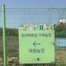 대원농장1 이미지