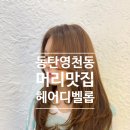 미야염색 | ［화성］동탄 영천동 미용실 '헤어디벨롭' 은지 부원장님 손길로 긴 머리 심폐소생술 성공 (애견동반)