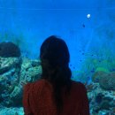 후포농장 이미지