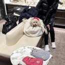 멍 클레어 이미지