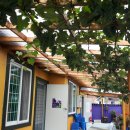 속리산아래민박 이미지