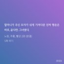빨강돼지