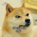 헐