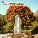 대포숲 | 가을 단풍이 예쁜 경남 산청 대포숲과 덕산사 사찰