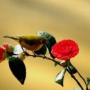 수다방 - 당진시 | 수다방
