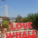 보은대교 공중화장실 | 울산 장생포 웨일즈 판타지움 웨일즈 스윙 공중그네 체험 후기:)