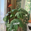 산호유동 금자네로 이미지