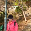 문용호농장 Daum카페