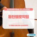 첼로 초급(성인) 이미지