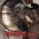 (주)메디플랜 | (내돈내산) 부산 데자뷰메디스킨 방문 전 꿀팁