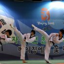 최강하늘태권도 이미지