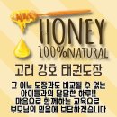 교대부설초 병설유치원 이미지