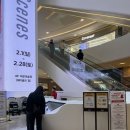 웰니스동물병원 스타필드 고양 | ‘고양 스타필드’ 강아지 두쫀쿠,펫모차 위치,펫파크 애견동반의 모든 것