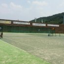 용인시립정구장 Daum카페