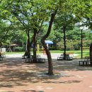 서울매헌초등학교 이미지