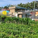 숙희민박 이미지