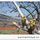 임실치즈골 은주네농장 이미지