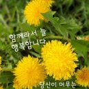 ◇해외에서 인정한 면역력 강화 ‘장흥 표고버섯’ 인기 급등 이미지