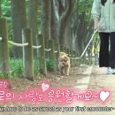 재순농장 이미지