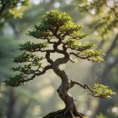 일본어 회화(기초) 이미지