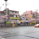 다다화실