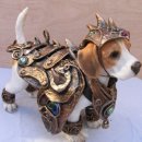 신기방기 이미지