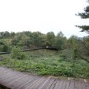 천곡황금박쥐동굴 이미지