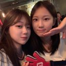 서울갈매기 - 성북구 | 서울갈매기