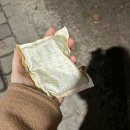 네이비마린 | 2025 루프탑 폴파티_with 공들인스튜디오, 슈사비