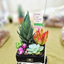 용유중학교 이미지