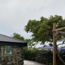 [제주 한림] 제주스런 하룻밤, 자적 독채 후기- 제주 에어비앤비, 감성 숙소, 돌담 독채 숙소
