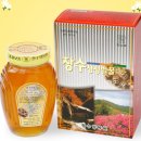 장수양봉원 이미지