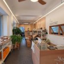 대안생활 이미지