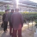 고교농장 이미지