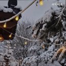 하녹타케 이미지