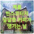 빈스코티지