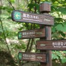 영산중학교 이미지