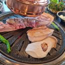 팔미돈가
