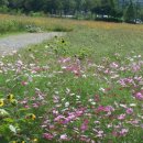 대부공인중개사사무소 이미지